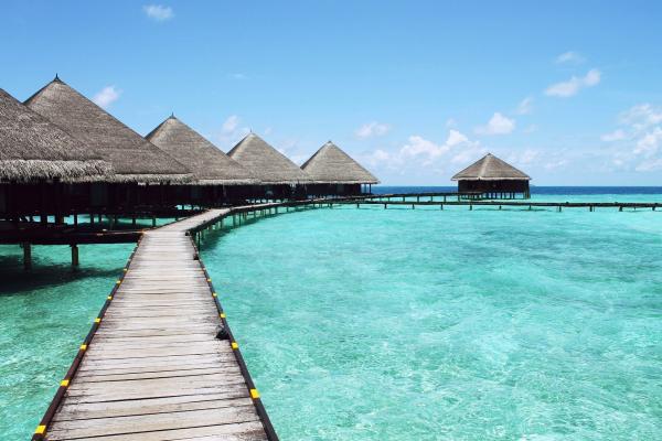 Expression de Turquoise